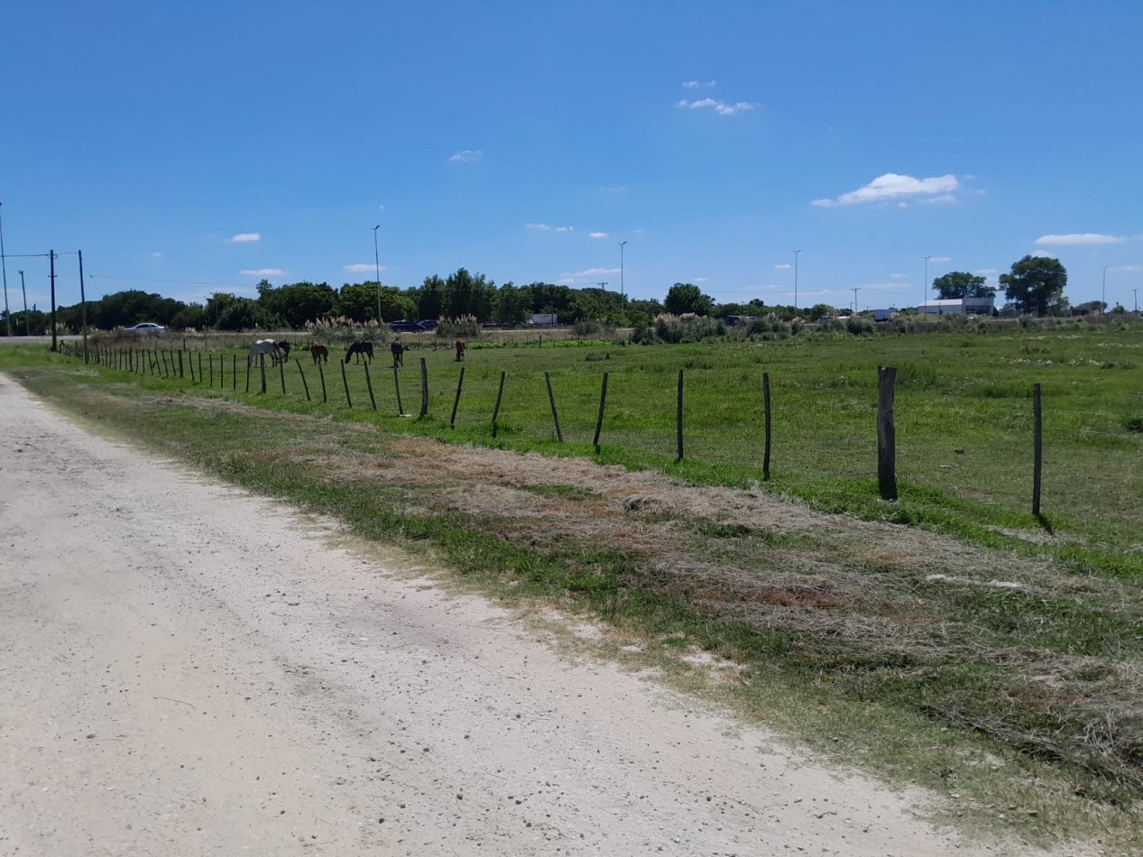 LOTE EN VENTA - GENERAL MADARIAGA