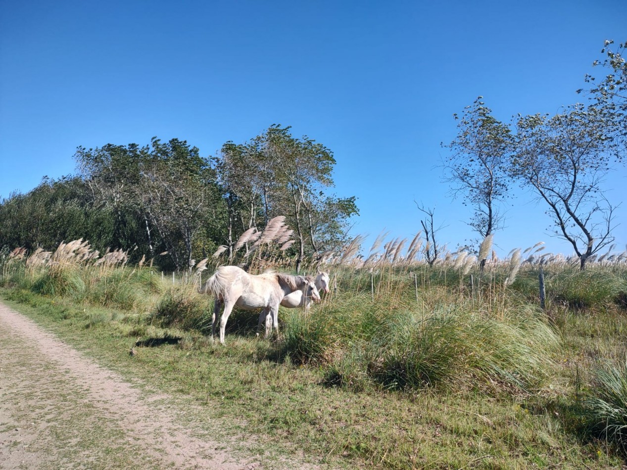 CHACRA EN VENTA - VILLA GESELL