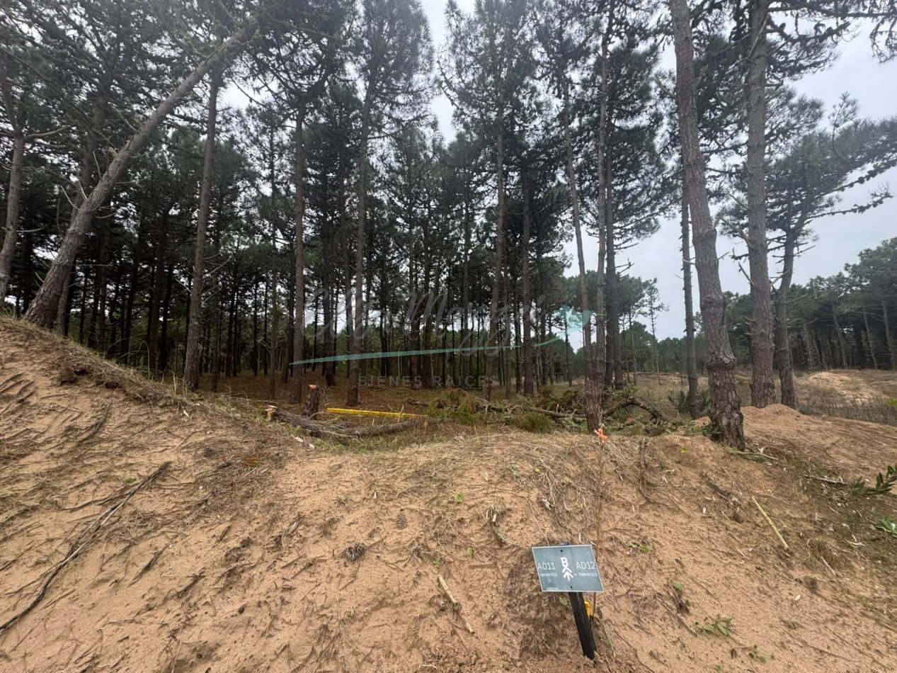 LOTE EN VENTA - BOSQUES PINAMAR