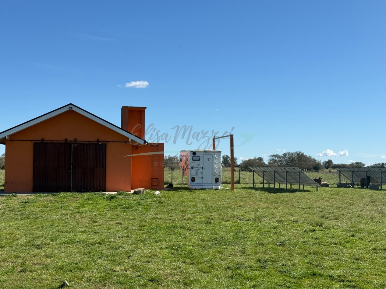 CAMPO EN VENTA - MADARIAGA 