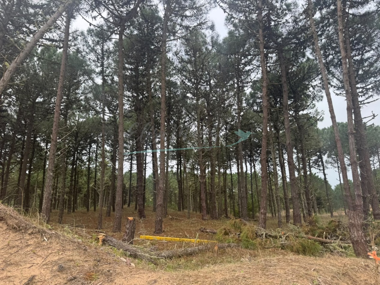 LOTE EN VENTA - BOSQUES PINAMAR